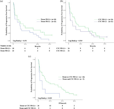 Circulating tumor cells PD-L1 expression detection and correlation of therapeutic efficacy of immune checkpoint inhibition in advanced non-small-cell lung cancer