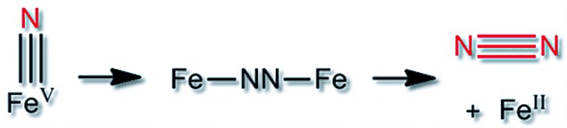Abbau von Nitridoeisen(V)-Komplexen durch N-N-Kupplung in Lösung: spektroskopische und theoretische Analyse