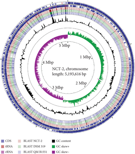 Details are in the caption following the image Details are in the caption following the image
