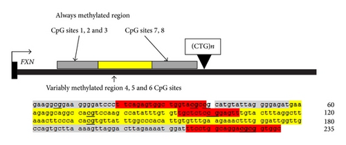 Details are in the caption following the image