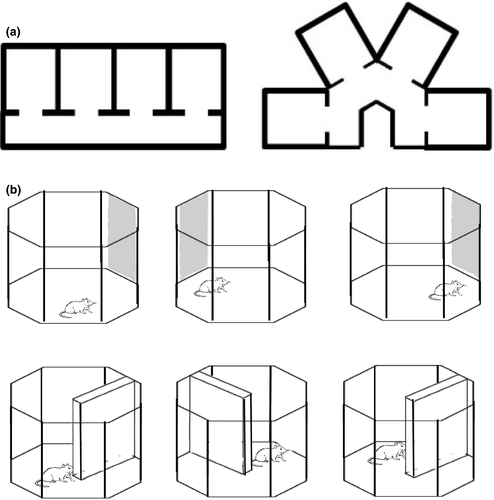 Details are in the caption following the image Details are in the caption following the image