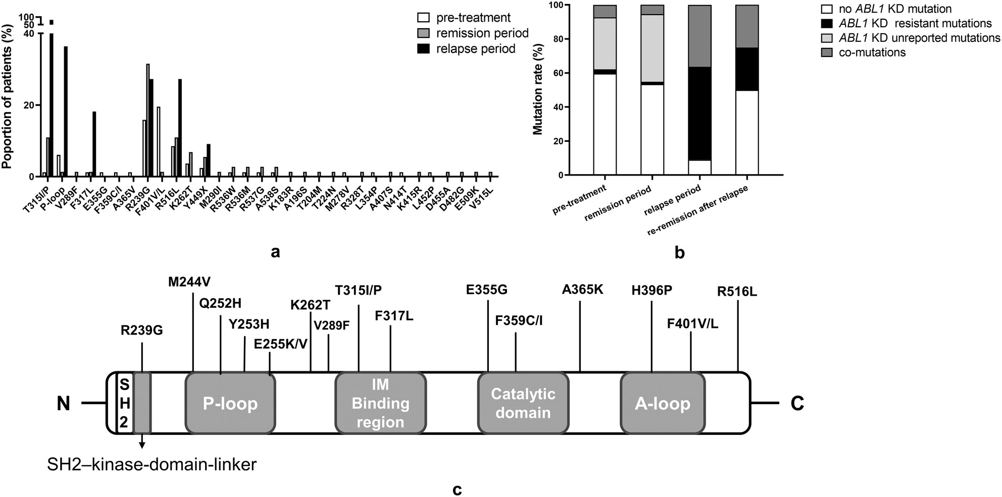 New ABL1 Kinase Domain Mutations in BCR::ABL1-Positive Acute Lymphoblastic Leukemia