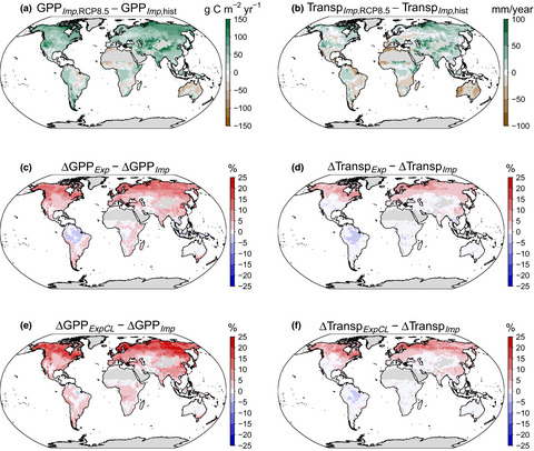 Effects of mesophyll conductance on vegetation responses to elevated CO2 concentrations in a land surface model