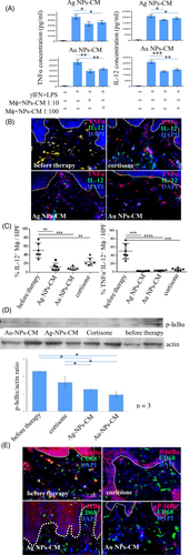 Details are in the caption following the image Details are in the caption following the image