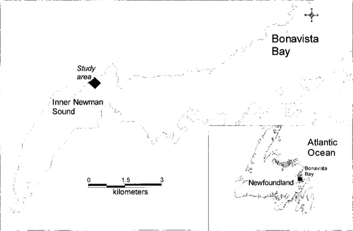 Details are in the caption following the image