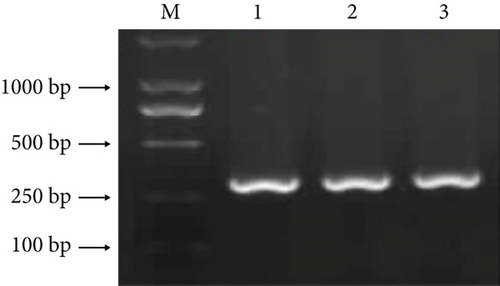 Details are in the caption following the image