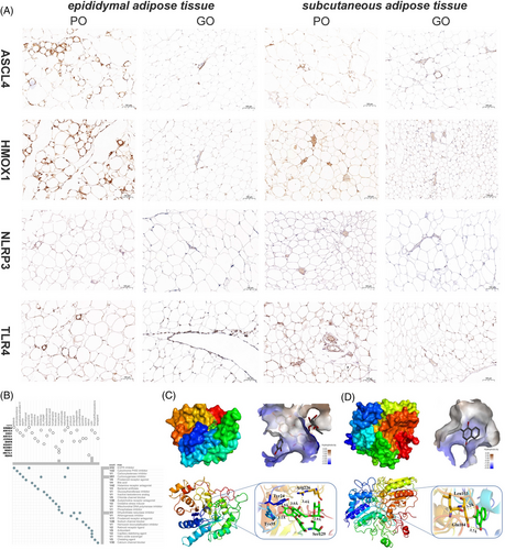 Details are in the caption following the image Details are in the caption following the image