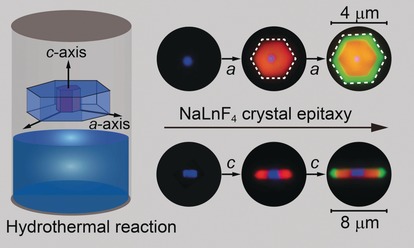 Unraveling Epitaxial Habits in the NaLnF4 System for Color Multiplexing at the Single-Particle Level
