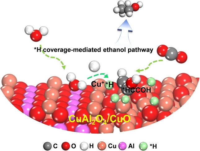 Tailoring *H Intermediate Coverage on the CuAl2O4/CuO Catalyst for Enhanced Electrocatalytic CO2 Reduction to Ethanol