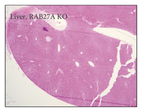 Details are in the caption following the image