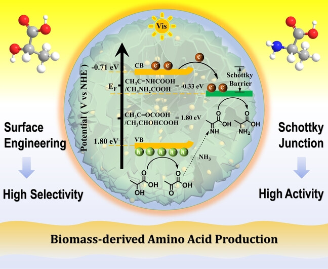 Surface-Controlled CdS/Ti3C2 MXene Schottky Junction for Highly Selective and Active Photocatalytic Dehydrogenation-Reductive Amination