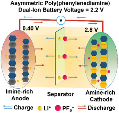 Redox State-Driven Synthesis of Mesoporous and Microsphere Poly(phenylenediamine) for Transition Metal-Free and All-polymer Dual-Ion Battery