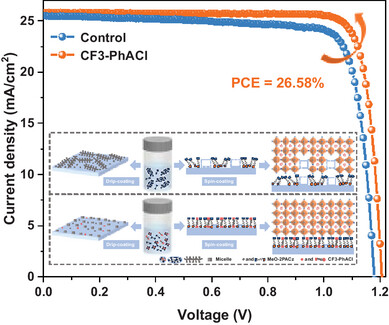 Monodisperse Regulation of Self-Assembled Monolayer Via Dipole Molecules for Efficient Perovskite Solar Cells