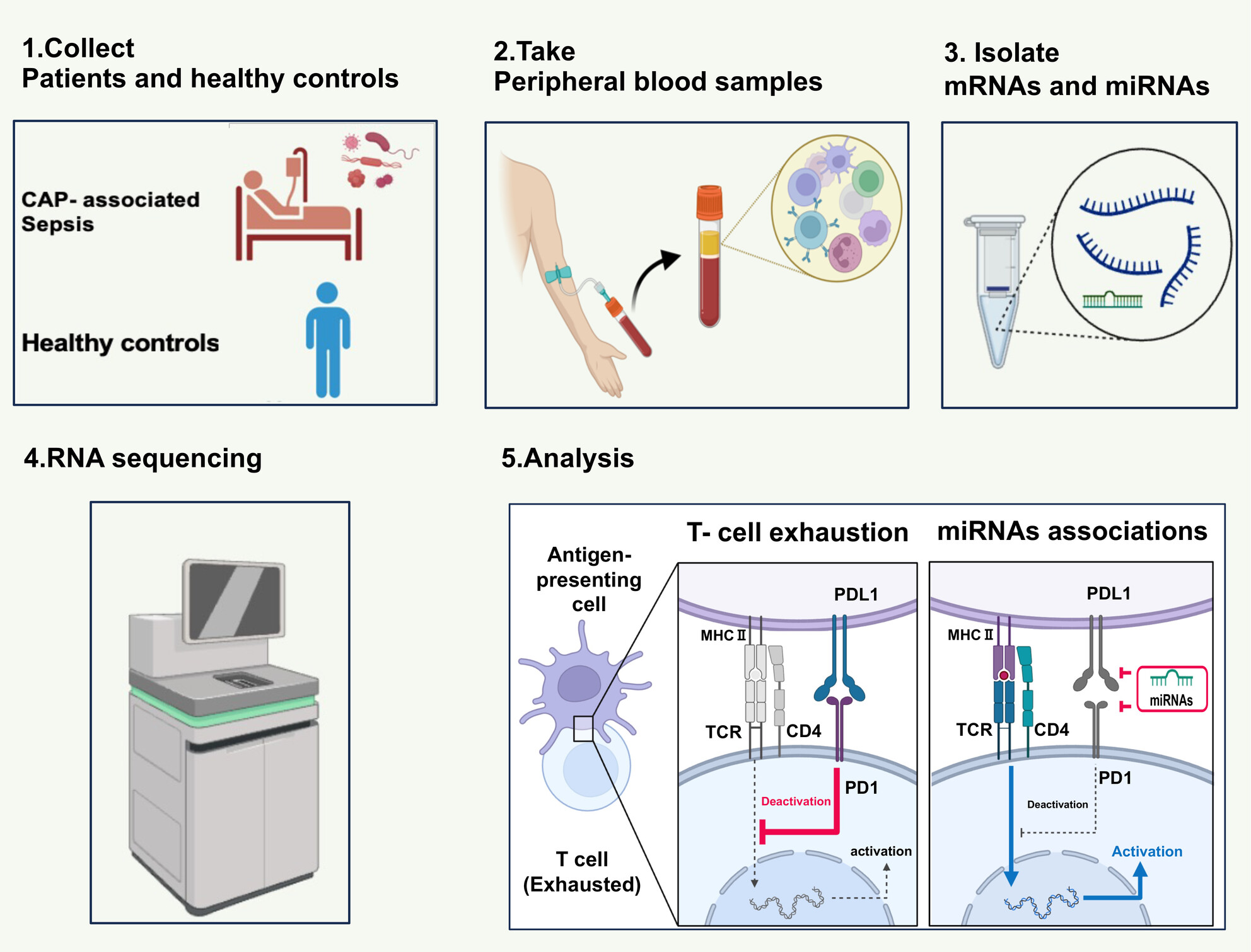 mRNA–miRNA integration analysis of T-cell exhaustion in sepsis from community-acquired pneumonia