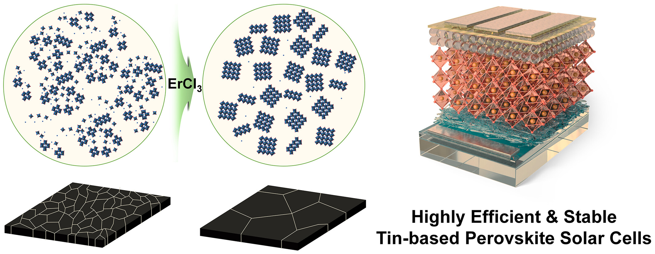 Erbium chloride-mediated nucleation/crystallization control for high-performance tin-based perovskite solar cells