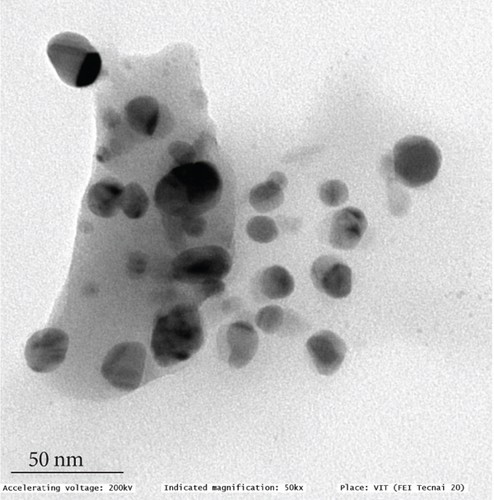 Details are in the caption following the image