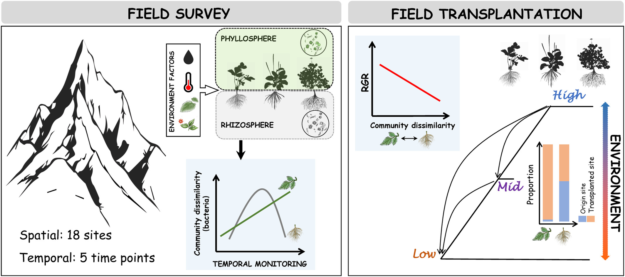 Decoupling Responses of Phyllosphere and Rhizosphere Bacterial Communities to Spatiotemporal Environmental Changes