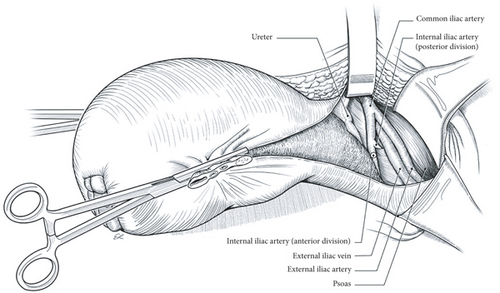 Details are in the caption following the image Details are in the caption following the image
