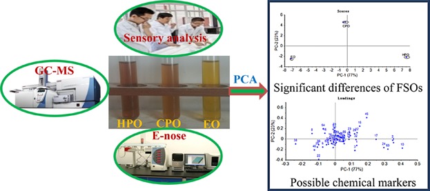 Comparison of volatile compounds of hot-pressed, cold-pressed and solvent-extracted flaxseed oils analyzed by SPME-GC/MS combined with electronic nose: Major volatiles can be used as markers to distinguish differently processed oils