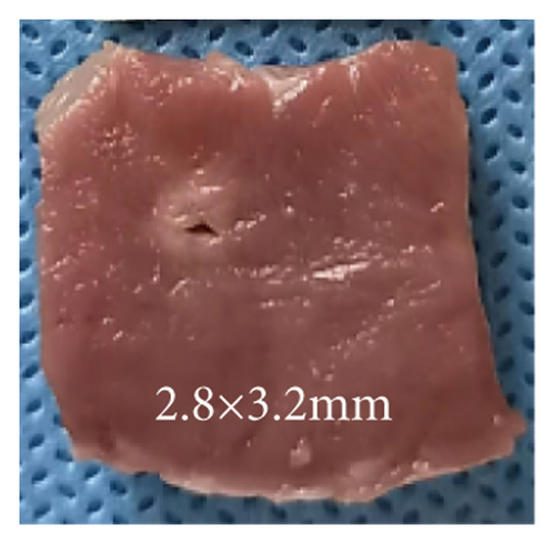 Details are in the caption following the image Details are in the caption following the image
