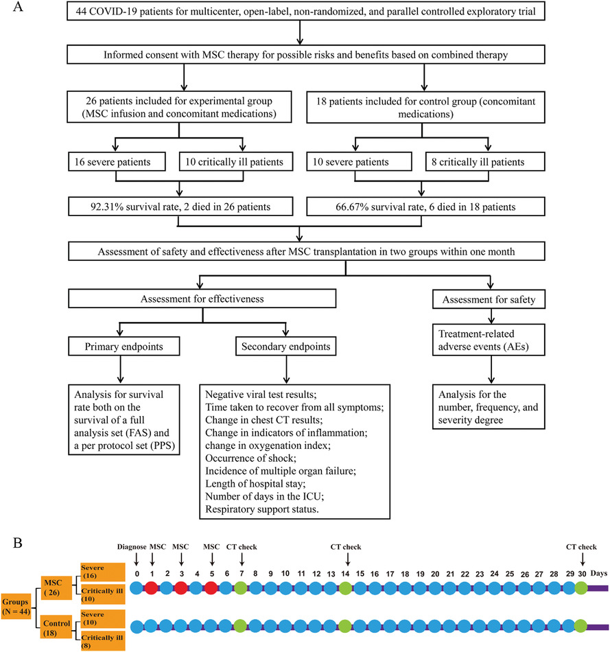 Evaluation of the safety and efficacy of using human menstrual blood-derived mesenchymal stromal cells in treating severe and critically ill COVID-19 patients: An exploratory clinical trial