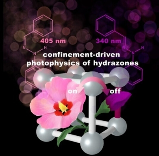 Confinement-Driven Photophysics in Hydrazone-Based Hierarchical Materials