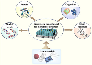 Construction of Biomimetic Nanochannel, Property Regulation, and Biomarker Detection