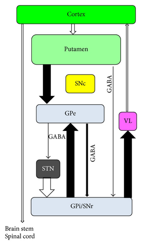 Details are in the caption following the image Details are in the caption following the image