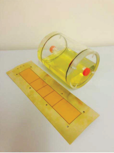 Details are in the caption following the image Details are in the caption following the image