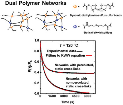 Reprocessable Polymer Networks Containing Sulfur-Based, Percolated Dynamic Covalent Cross-Links and Percolated or Non-Percolated, Static Cross-Links