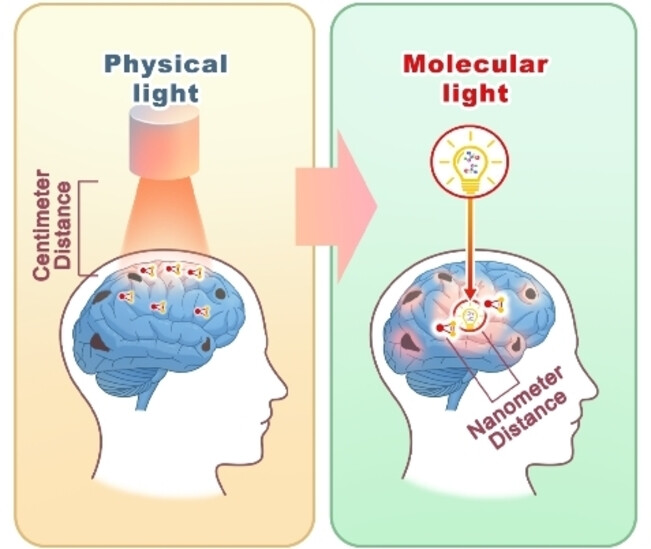 A Photolabile Curcumin-Diazirine Analogue Enables Phototherapy with Physically and Molecularly Produced Light for Alzheimer's Disease Treatment**