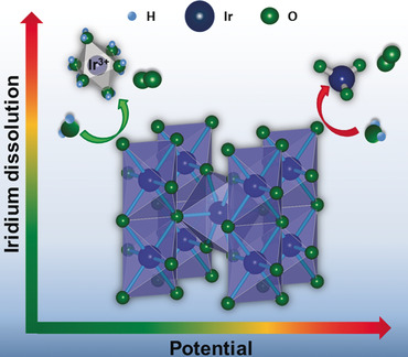 The Common Intermediates of Oxygen Evolution and Dissolution Reactions during Water Electrolysis on Iridium
