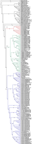 Details are in the caption following the image Details are in the caption following the image