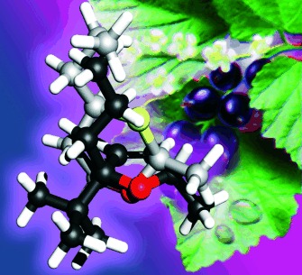Johannisbeer-Duft aus der Mikrowellenperspektive: Riechstoff- Eigenschaften und Gasphasenstrukturen aller Cassyran-Stereoisomere und ihrer Dihydro-Derivate