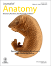Vertebrate Evolutionary Development Biology cover image