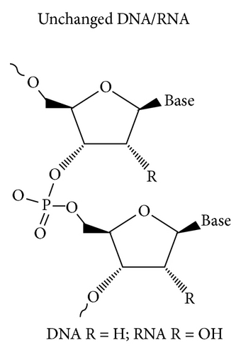 Details are in the caption following the image