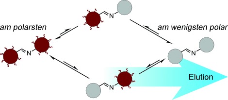 Adsorption-Driven Self-Sorting of Dynamic Imine Libraries