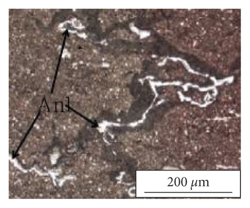 Details are in the caption following the image