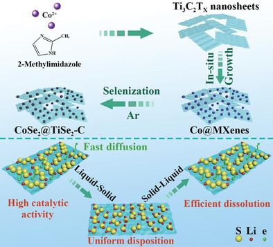 Dual-Conductive CoSe2@TiSe2-C Heterostructures Promoting Overall Sulfur Redox Kinetics under High Sulfur Loading and Lean Electrolyte