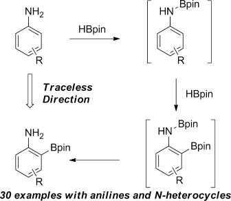 A Traceless Directing Group for C<span class='icomoon'></span>H Borylation