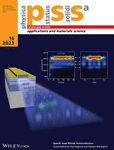 Nitride Semiconductors cover image