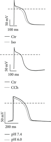 Details are in the caption following the image