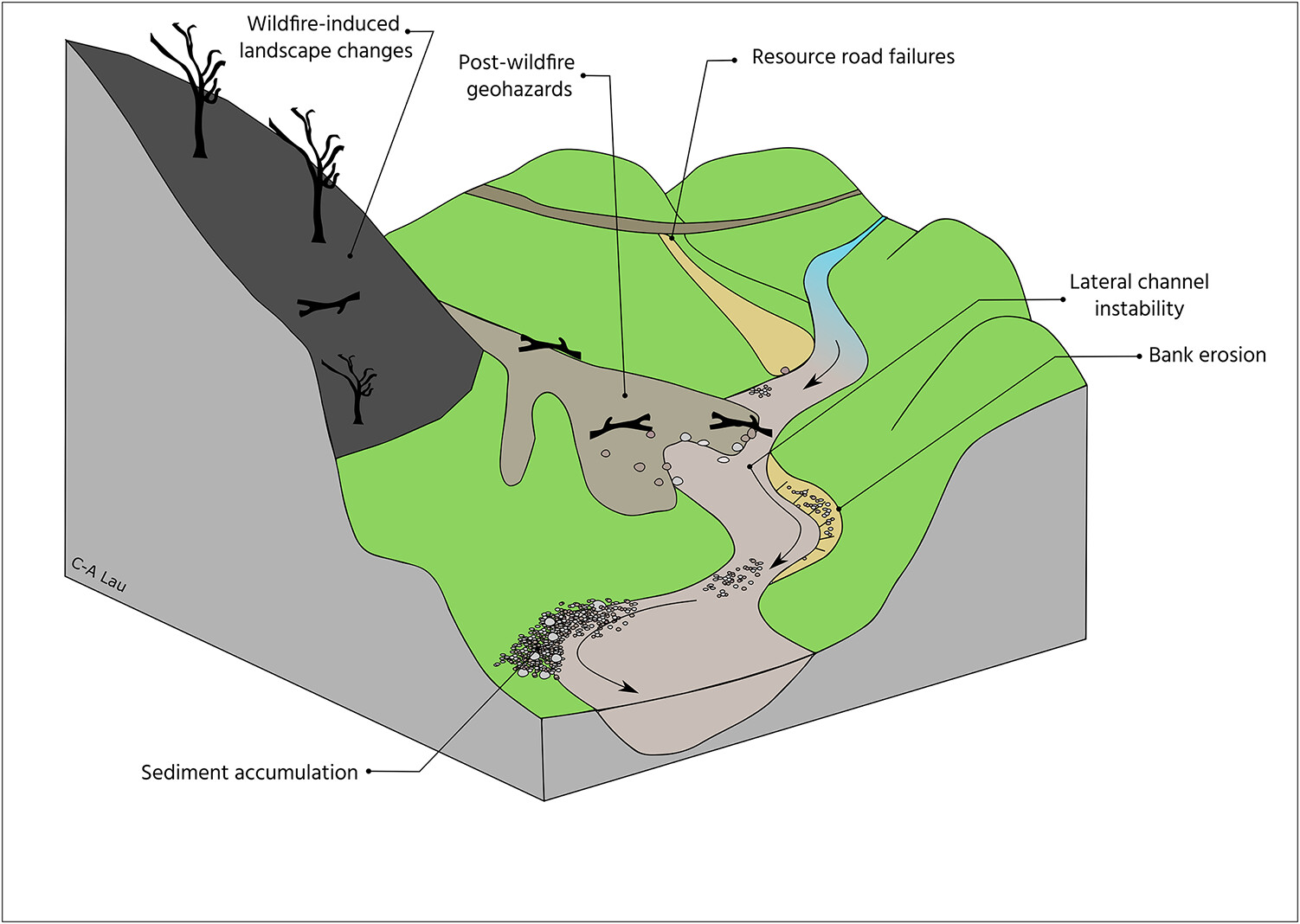 The role of wildfires and forest harvesting on geohazards and channel instability during the November 2021 atmospheric river in southwestern British Columbia, Canada