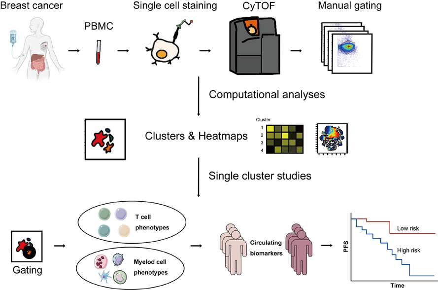 Predictive circulating biomarkers of the response to anti-PD-1 immunotherapy in advanced HER2 negative breast cancer