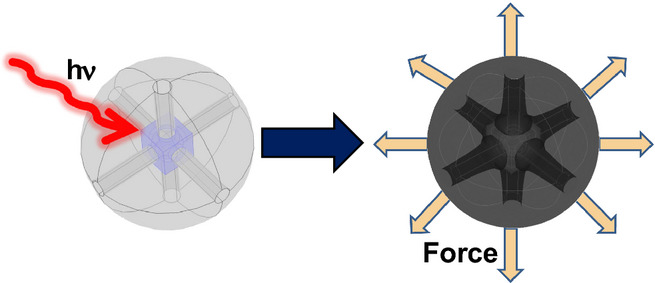 Electronic and Vibrational Dynamics of Hollow Au Nanocages Embedded in Cu2O Shells