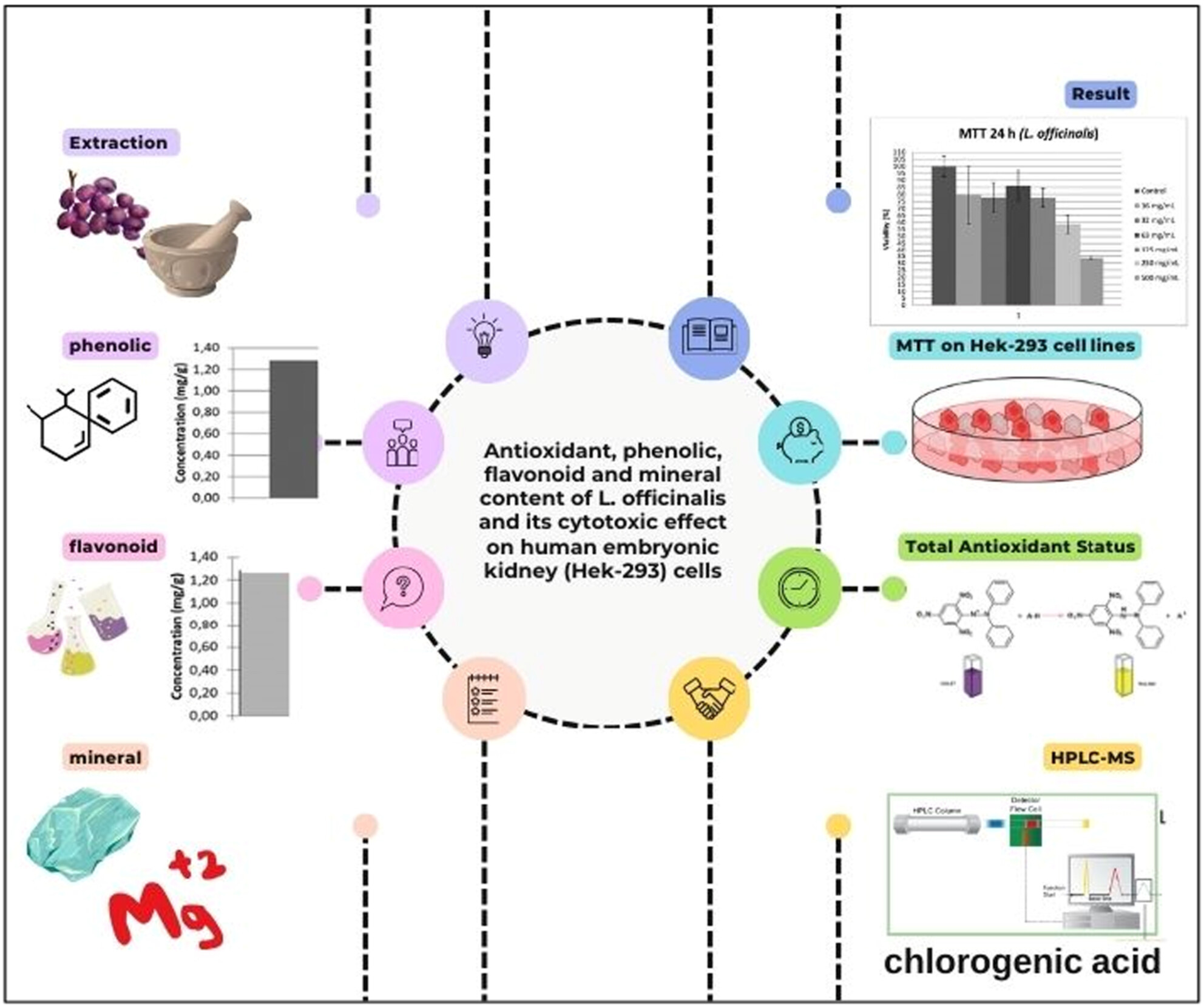 Antioxidant, Phenolic, Flavonoid, and Mineral Content of L. officinalis and Its Cytotoxic Effect on Human Embryonic Kidney (Hek-293) Cells