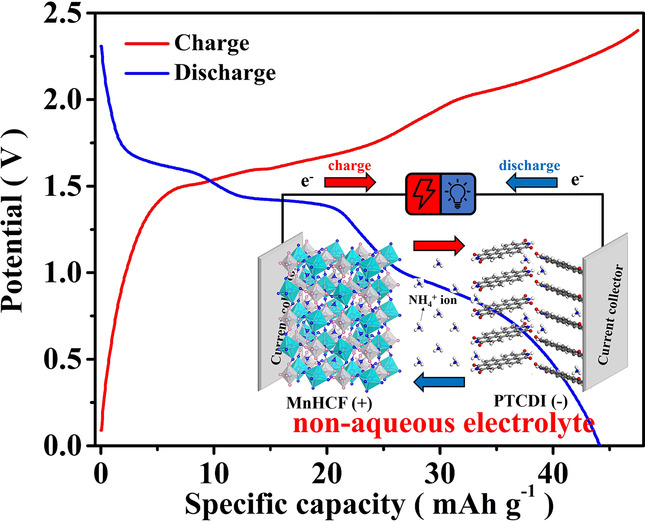Organic Ammonium Ion Battery: A New Strategy for a Nonmetallic Ion Energy Storage System