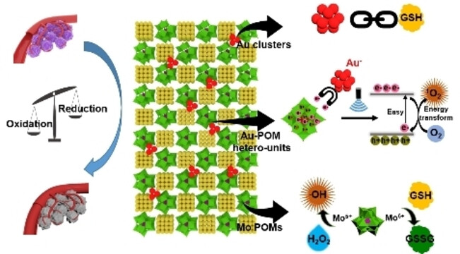 Sub-Nanosheet Induced Inverse Growth of Negative Valency Au Clusters for Tumor Treatment by Enhanced Oxidative Stress