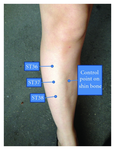 Details are in the caption following the image Details are in the caption following the image