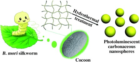 Simple and Green Synthesis of Nitrogen-Doped Photoluminescent Carbonaceous Nanospheres for Bioimaging
